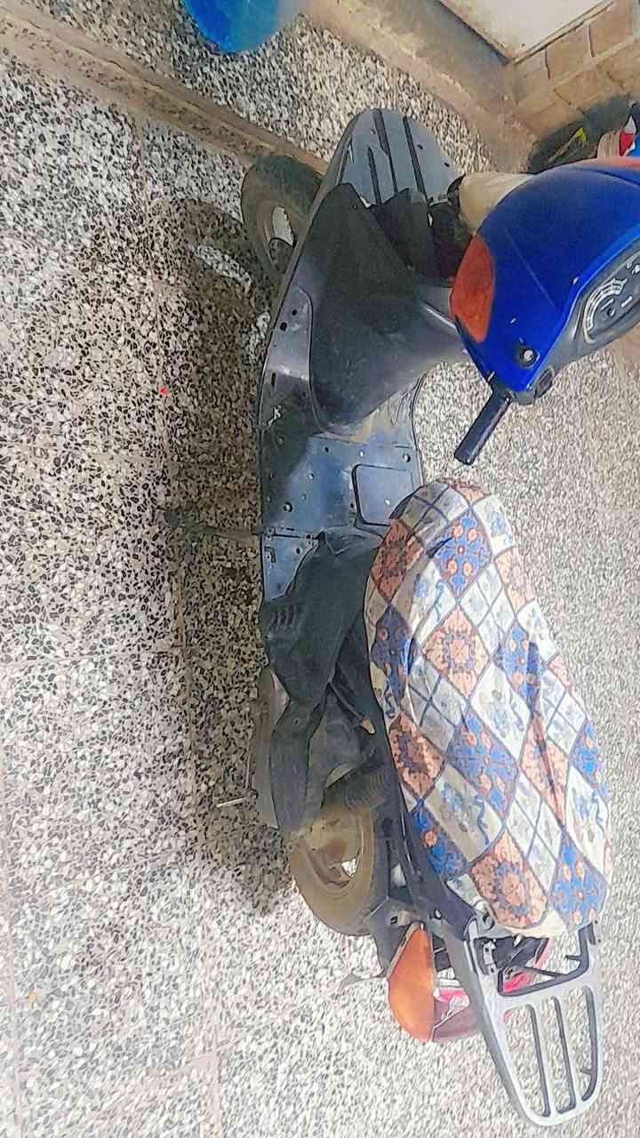 السلام عليكم ذبانه شبيسي للبيع ميسان القادسيه 75 السعر *********** بيها كاور

