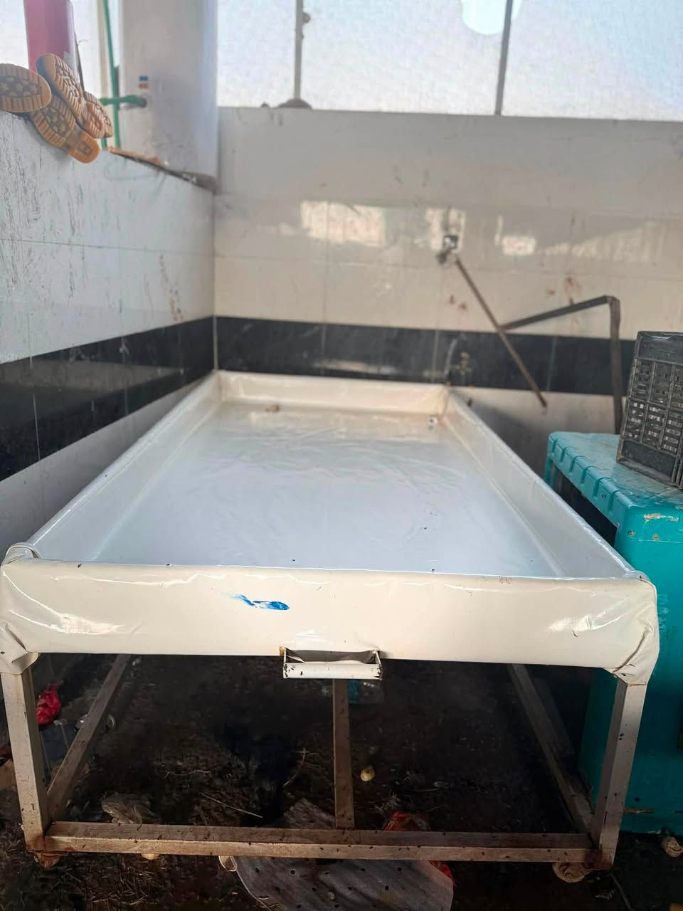اخوان حوض مال سمج للبيع 
مع غطاس 3 انج حجم كبير *********** 📞
