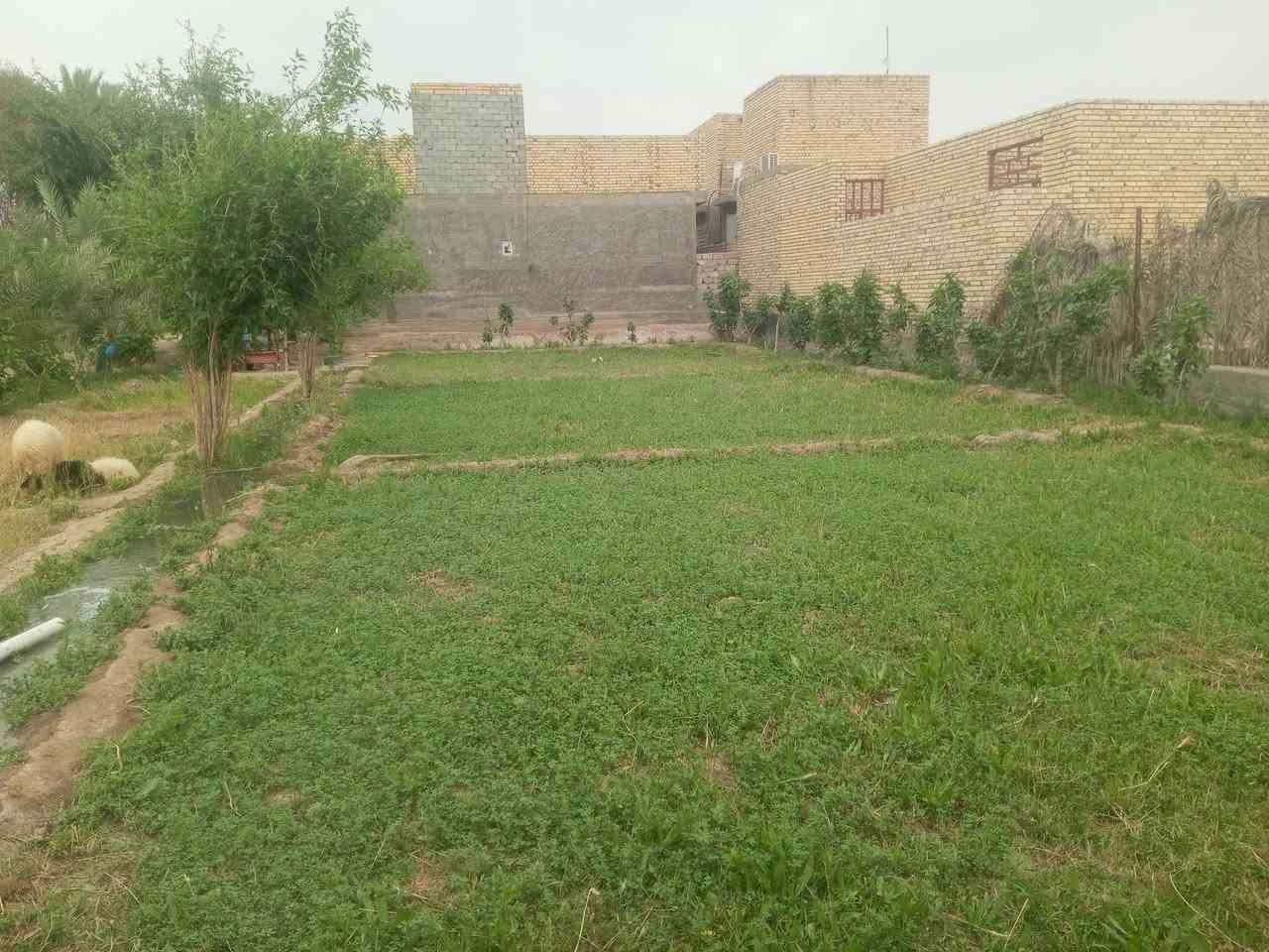 السلام عليكم ارض زراعيه للبيع سنه 25 طابو زراعي مساحه دونم تحتوي على ثلاث بيوت جاهزاته مكان بابل قضاء القاسم طريق الكفل الاستفسار على الرقم ***********
