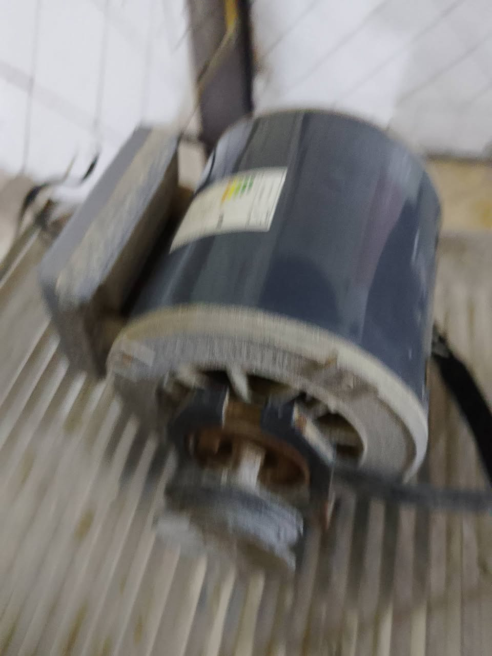 للبيع ماطور كبير وشغال اخو الجديد


**إذا كنت صاحب هذا الإعلان وتريد حذفه لأي سبب، رجاءا أرسل رسالة إلى الدعم الفني**