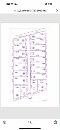 دوانم • يم بيت طربوش • أسعار مناسبة