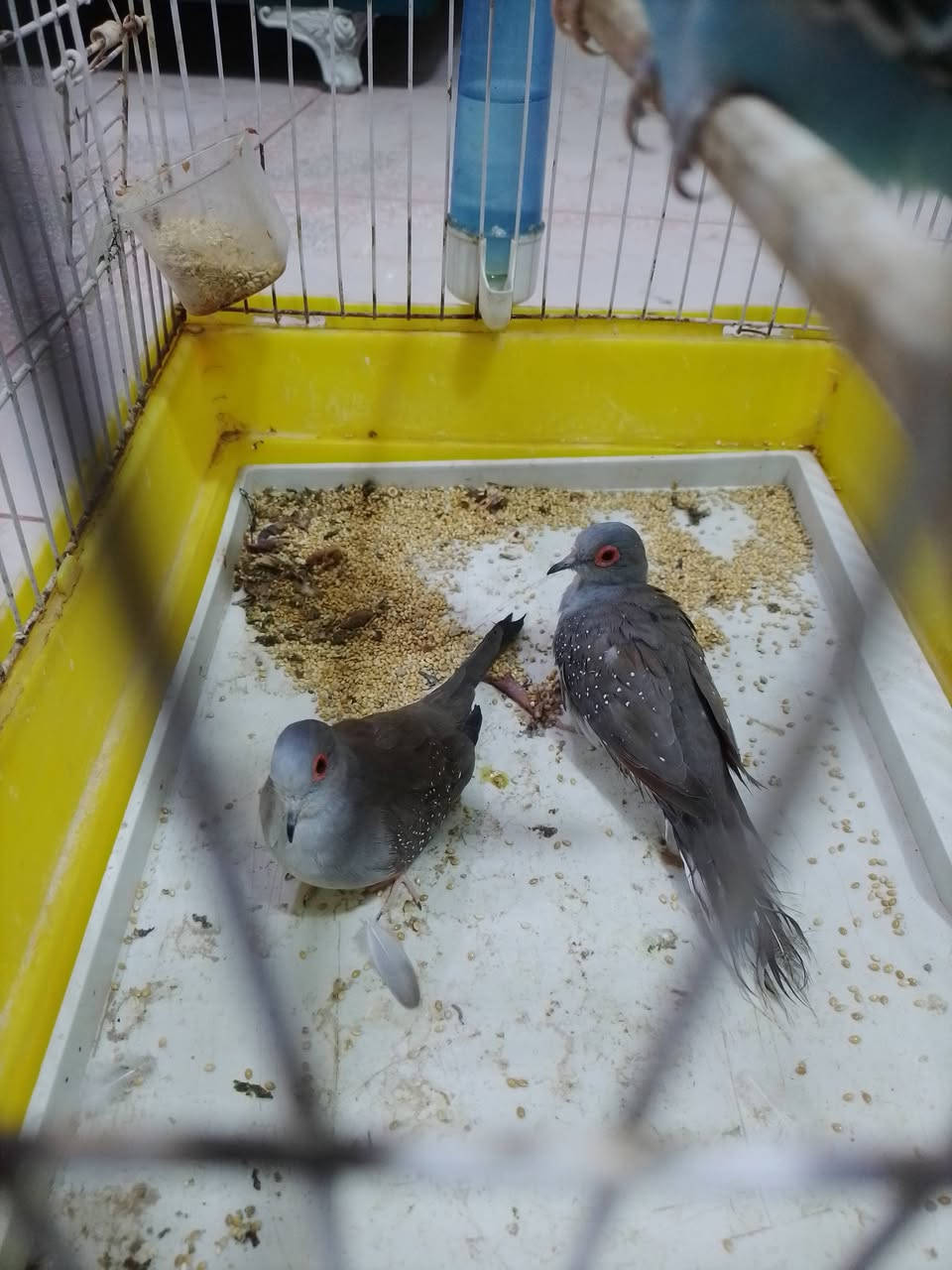 ملكيات زوج ب8


**إذا كنت صاحب هذا الإعلان وتريد حذفه لأي سبب، رجاءا أرسل رسالة إلى الدعم الفني**