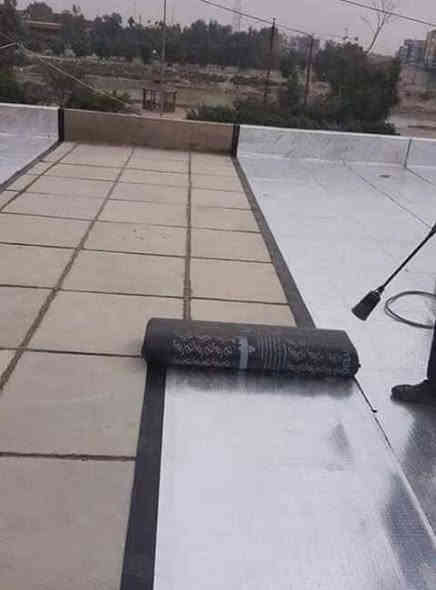 الاستفسار ***********
