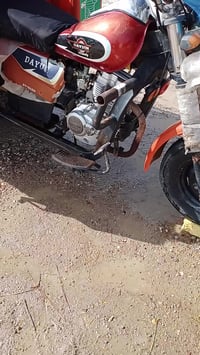 ستوته دايون • موديل 14 • اوراق اصولي