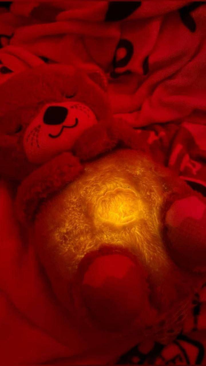 دمية الدب النائم 🧸❤️ 
السعر ٢٥ الف فقططططط والتوصيل مجاني لكل محافظات العراق الكمية محدوووودة ✅️✅️✅️😍😍

دمية سوث اند سناجل اوتر دميه موسيقية مخملية للأطفال👶🏻 الرضع من براند فيشر برايس👶🏻 
اصلية درجة اولى 💯💯

✨​دمية على شكل حيوان الدب 

✨لهاية وموسيقية بحركة "التنفس"

 ✨للأطفال من سن الولادة فما فوق

​✨اكتشافًا حسيًا لتنشيط حواس الرؤية
 والسمع واللمس لدى طفلك

✨​تحاكي الدمية على شكل دب 

✨✨الحركة الإيقاعية للتنفس لتهدئة طفلك بشكل طبيعي

✨​قابلة للتخصيص مع ما يصل إلى 30 دقيقة من الموسيقى والأصوات

، ✨والتحكم في مستوى الصوت، والأضواء الخافتة

✨​أقمشة فائقة النعومة؛ يمكن غسلها

 ✨يغسل في الغسالة مع إزالة الإلكترونيات

✨الباقي فقط اللون البنفسجي 🟣

#فولو #فولومي #فولورز #اكسبلور_فولو


**إذا كنت صاحب هذا الإعلان وتريد حذفه لأي سبب، رجاءا أرسل رسالة إلى الدعم الفني**