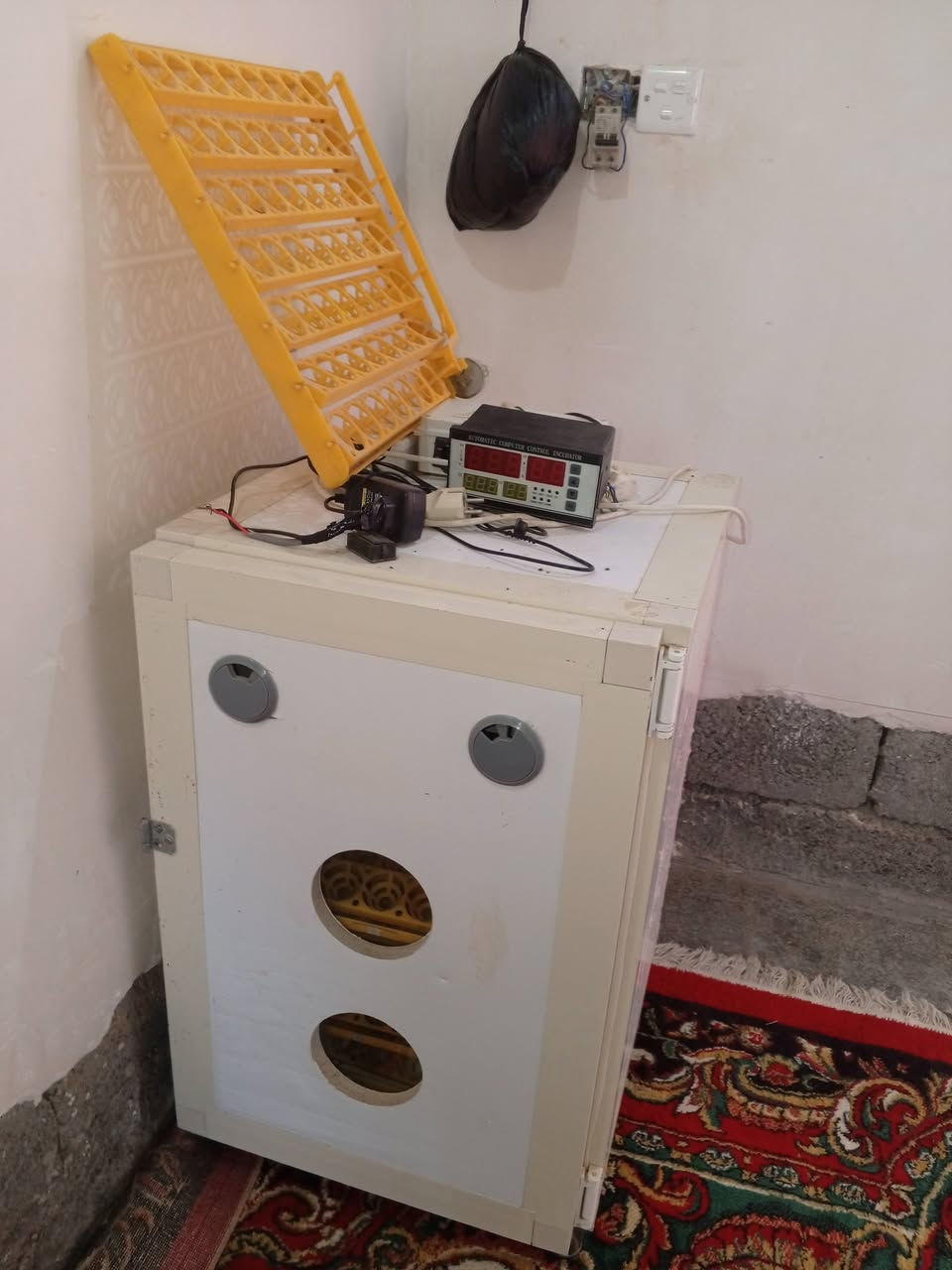 السلام عليكم ورحمه الله وبركاته يوجد فقاسة بيض للبيع للاستفسار الاتصال على صاحبه
***********
