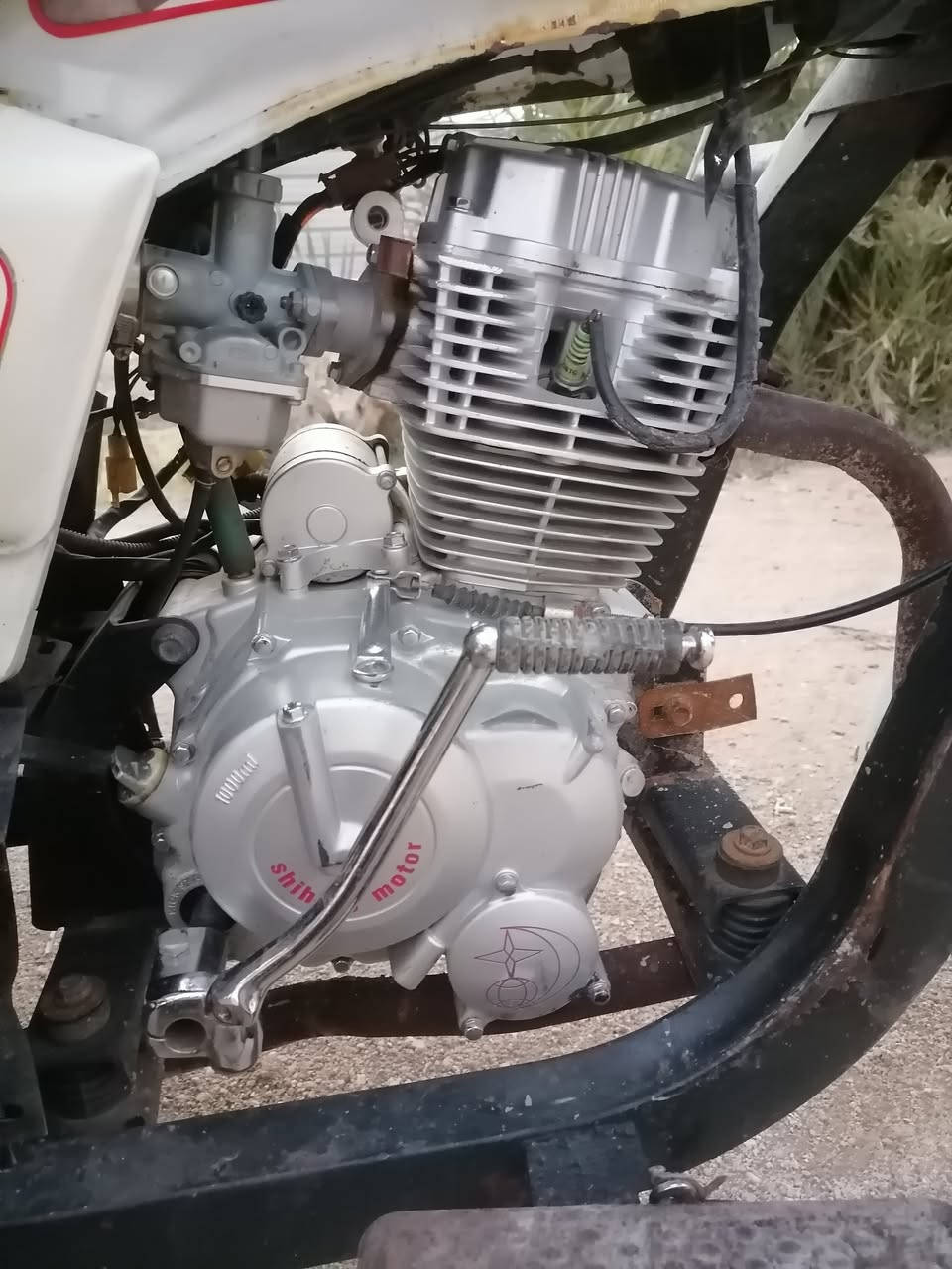 ستوته دايون أوراق لبيع

 الشراي يخابر
 *********** 
 ما متواجد ع فيس
