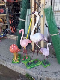 كركوك • متر ونص