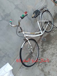 باسكل • موزه • للبيع
