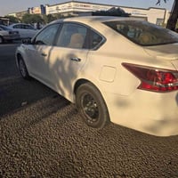 التيما • ٢٠١٣ • بدون صبغ