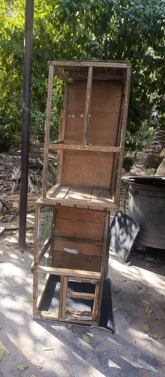 للبيع


**إذا كنت صاحب هذا الإعلان وتريد حذفه لأي سبب، رجاءا أرسل رسالة إلى الدعم الفني**