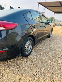 النترا • ٢٠١٧ • وارد امريكي