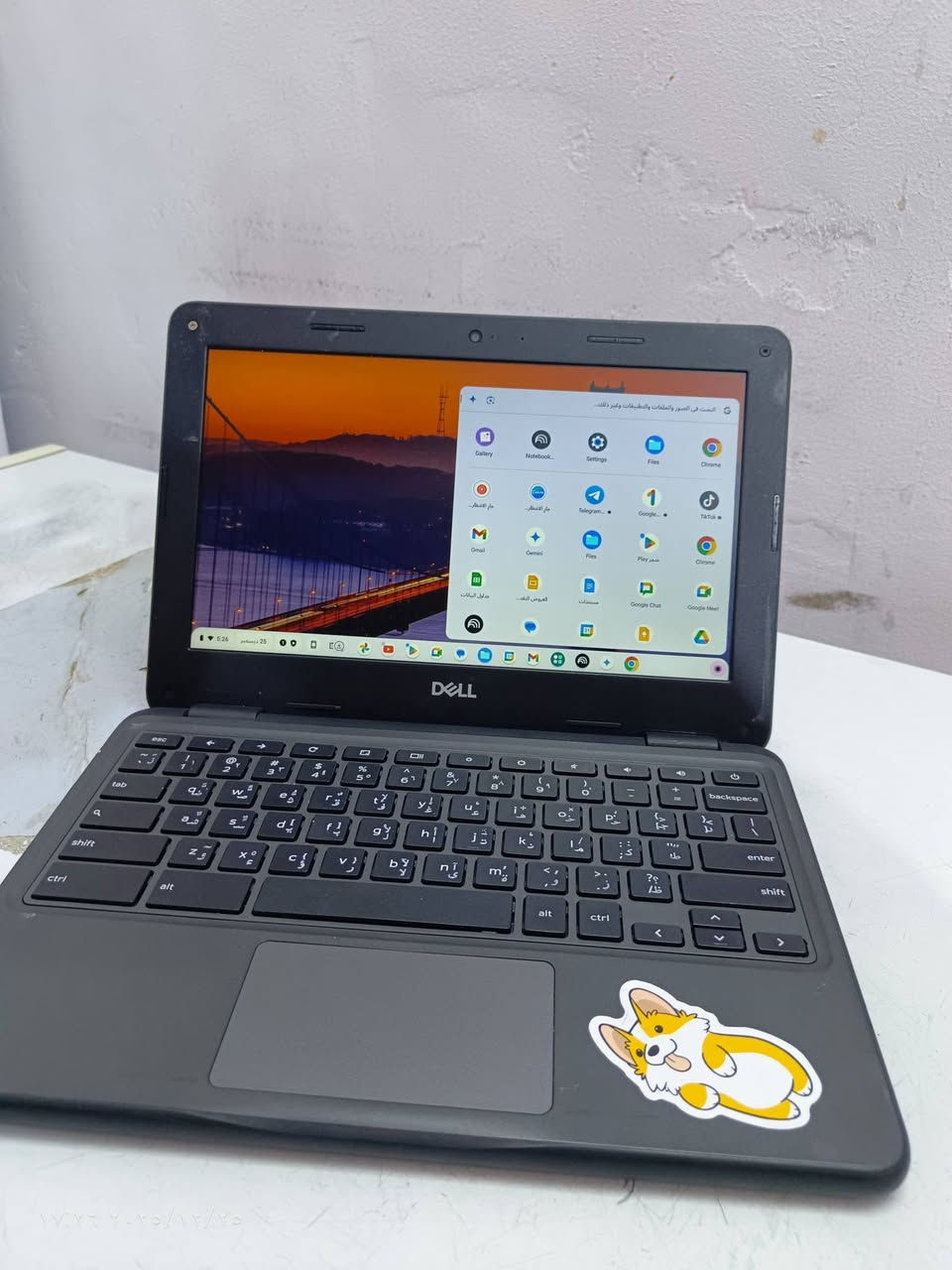 لابتــوب  .DELL. دل
للبيـع بل كارتـون مامسـتخدم جديـد

استـخدام الابـتوب

1️⃣استخـدام شخصـيي

2️⃣استـخدام تصفـح برامج 

3️⃣استخـدام للدراسـه

4️⃣اسـتخدام للتصمـيم 

منافذ الابـتوب 

1️⃣منفـذ USB

2️⃣مـنفذ AUX

3️⃣منـفذ شحن تايبـسي بقدرة 65واط

البرامج داخـل الابـتوب

1️⃣يوتـيوب 

2️⃣تيـك توك 

3️⃣ تيـلجرام 

4️⃣كـوكل 

5️⃣متـجر Play 

السعر 85 وبيه مجـال مكاني الناصـريه مركز

للاتصـال *********** واتـساب
