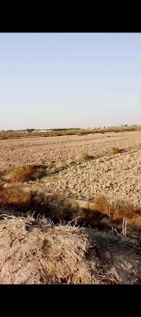 عد ال عواد الرعده • ٧ دونم • ماء وكهرباء