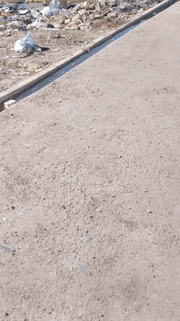 قطعه ارض للبيع المساحه 100 متر الواجه 5 والنزال 20  القطعه بغداد بظهر المستشفئ التركي مالحسينيه المعامل قطعه زراعي المنطقه كافه الخدمات مي مجاري تبليط كهرباء9 سحب نت  للستفسار *********** بسعر مناسب
