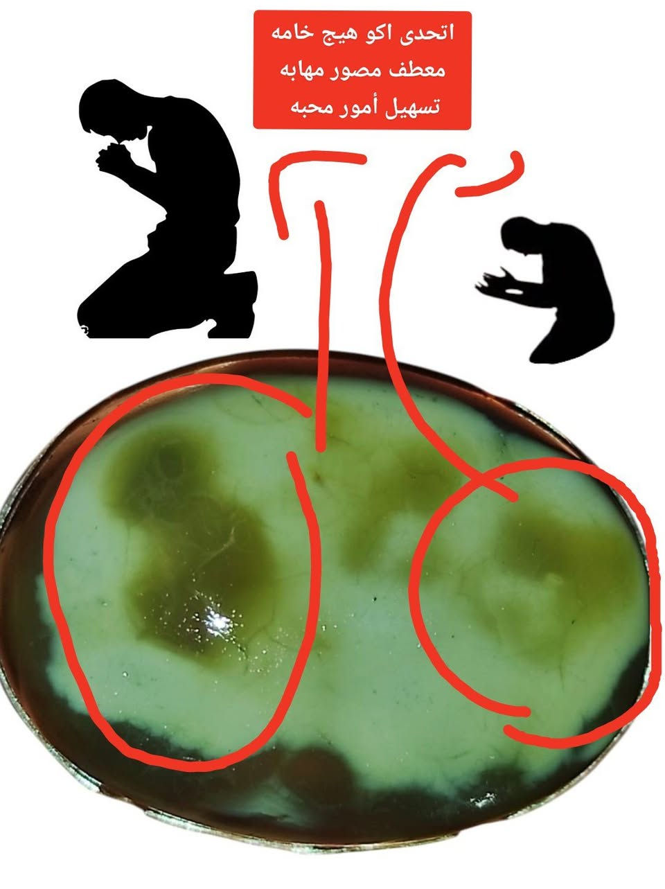 بسم الله
اتحدى اكو هيج خامه 
مفوله معطفه فول محبه 
مصور رجل راكع مهابه تسهيل امور 
شغل فول فضه عراقي ٩٢٥ 
٣٥ مع التوصيل قفل 💯💯💯
***********واتساب
