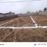 قضاء بلد • ١٠٠م • سند زراعي