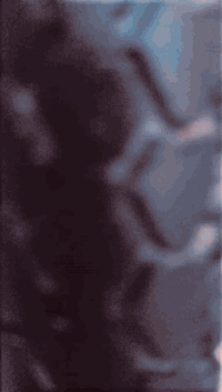 بايسكل الشعر 120 بدون اعجاب واللي يحب يشتري يطب خاص ***********
