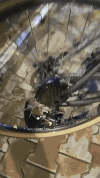 بايسكل رياضي جبلي اوربي حجم 29
مستخدم شهرين فقط 220الف وبي مجال للشراي
المكان الحريه دباش شارع الصحه 
الرقم ***********
