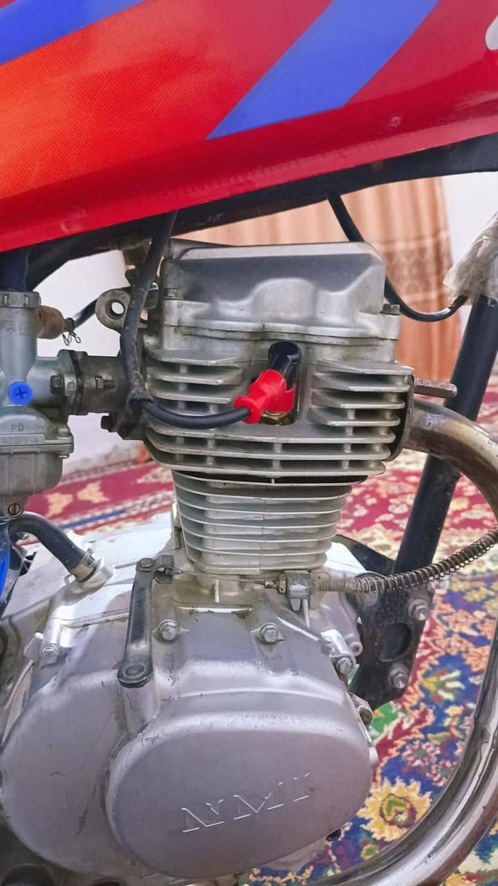 للبيع شلامجه كامله من كلشي كلك مكفولة سعر 500 بيه مجال ***********
