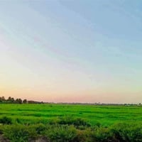 يتوفر5دوانم البيع منطقت الراشديه قرب الدباقيه شارع يربط على الشارع الج...