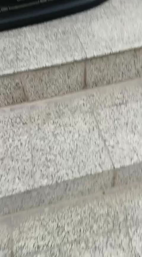 بسمه تعالى 
متوفر أغراض اكاديا
مكاني بغداد الكاظمية جكوك قرب حسينية بني هاشم
***********
***********
اعتذر من الخاص 
اوقات الاتصال 
٩ صباحا 
٤ عصر
