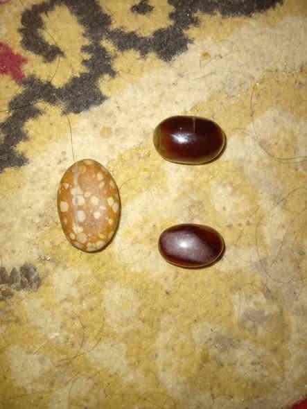 عندي هذني للبيع ماعرف شنو نوع حجر تصل على رقم ***********ناصريه
