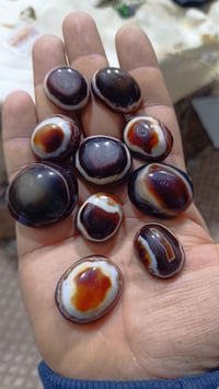 السليماني • أحمر دموي • فول