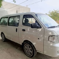 ابريجو منغولي • ٢٠٠٥ • مصبوغة