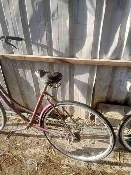 اخوان ٣ بايسكلات 
ثنين حجم ٢٦  نقصهن تايرواحد وجوب والثاني جبتله جوابه ثنين وبعدين مشادهن 
والثالث مال سباق نقصه جوابه هم والتفاصيل بالصور للبيع الكل ب١٠٠ الف والشراي يتدلل مكاني بغداد العامريه للاستفسار مراسله ماسنجر او الاتصال على واتساب عالرقم *********** بغداد
