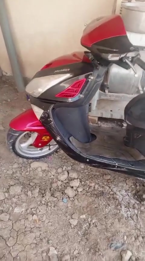 سلام عليكم دراجه خير من الله نكره سلف جاهزه ما عوزه شي دراجه حلو مثل ما وضح بل تصوير مكان ناصريه الغراف سعر 300 وبيه مجال الطييبين  رقم مبايل ***********...‏‪***********‬‏
