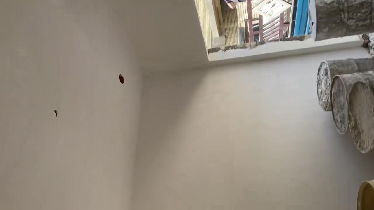 كادر جص بورك تشميع  عمل درجه اولى شرط جيب مهندس يستلم 

+964 0771 218 5246

