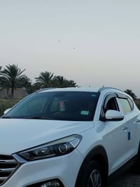توسان • ٢٠١٨ • رقم بابل