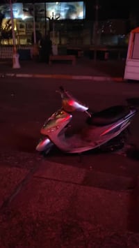 دراجة ماكس • منغولي • مكفولة