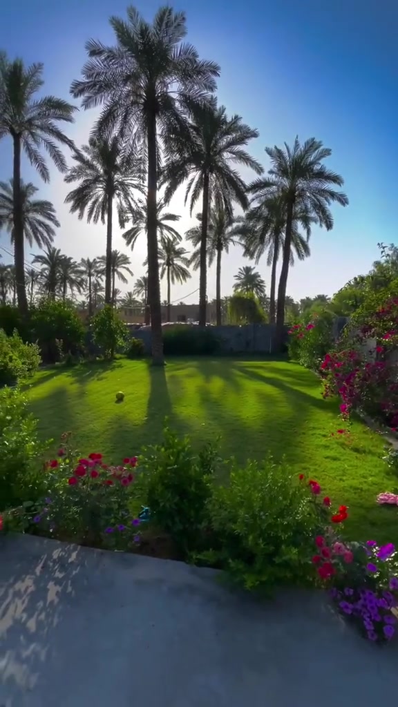 السلام عليكم اخوان كادر الحدايق متواجد يومياً لقص وتنضيف الحدائق والاشجار واسعارنا مناسبه جداََ للاستفسار الاتصال على الرقم التالي *********** ومتوفر على الواتس اب 
متوفر 24 ساعه وأيضاً قص حدائق المسابح في بلد
