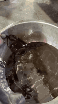 من مجمع حبتور لصيانة الباجيرو سياره الاخ ابو مهند تبديل دهن كير وكله م...