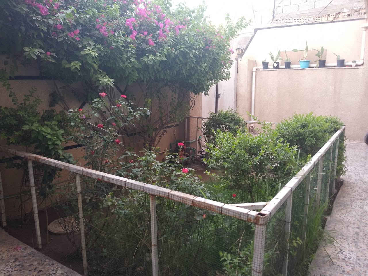 دار للبيع المساحة 200متر الواجهه عشره والنزال عشرين طابقين العنوان الزعفرانيه خلف حسينية الامام المهدي عج مقابل معجنات فستقه السعر 200وبي مجال بسيط للاستفسار الاتصال على الرقم ***********
