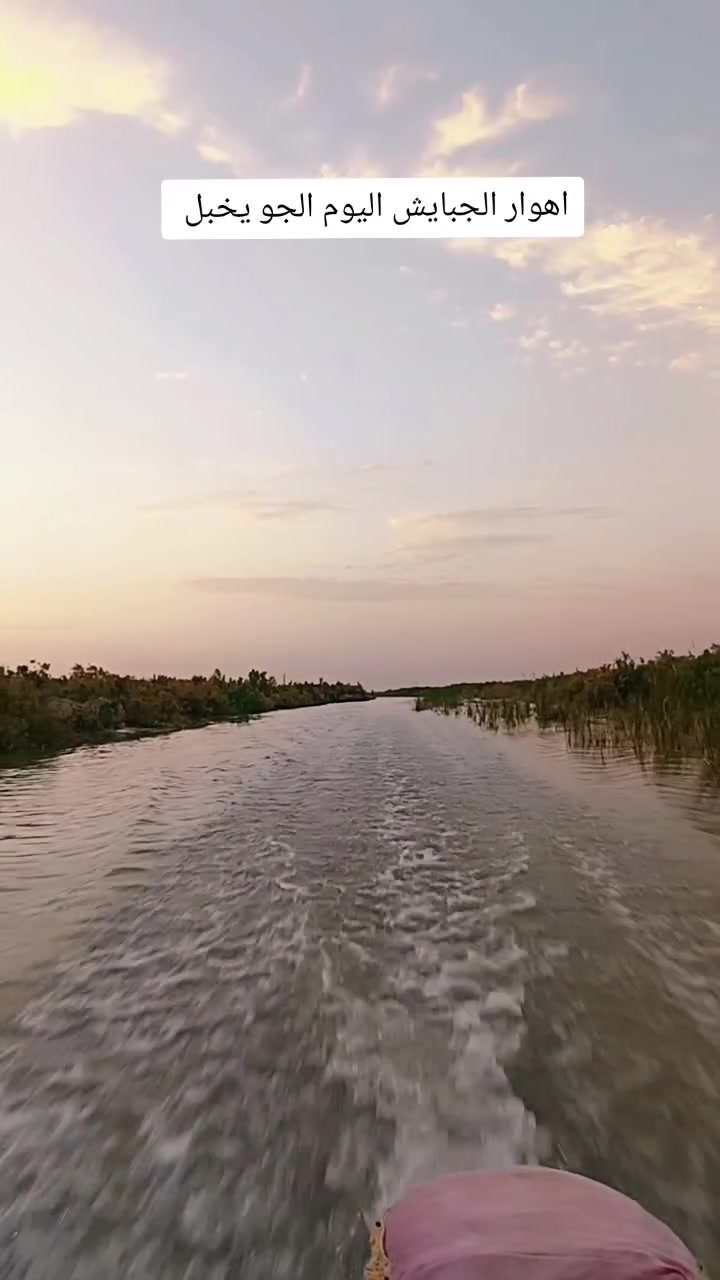 معكم اول باول حتى ننقل الصوره الجميله عن اهوارنا الساحره أجواء الاهوار اليوم بتاريخ 9/5/2026جرب هاي الأجواء وعيش يوم في الاهوار للحجز والاستفسار يمكنك التواصل معي على الرقم التالي ***********
