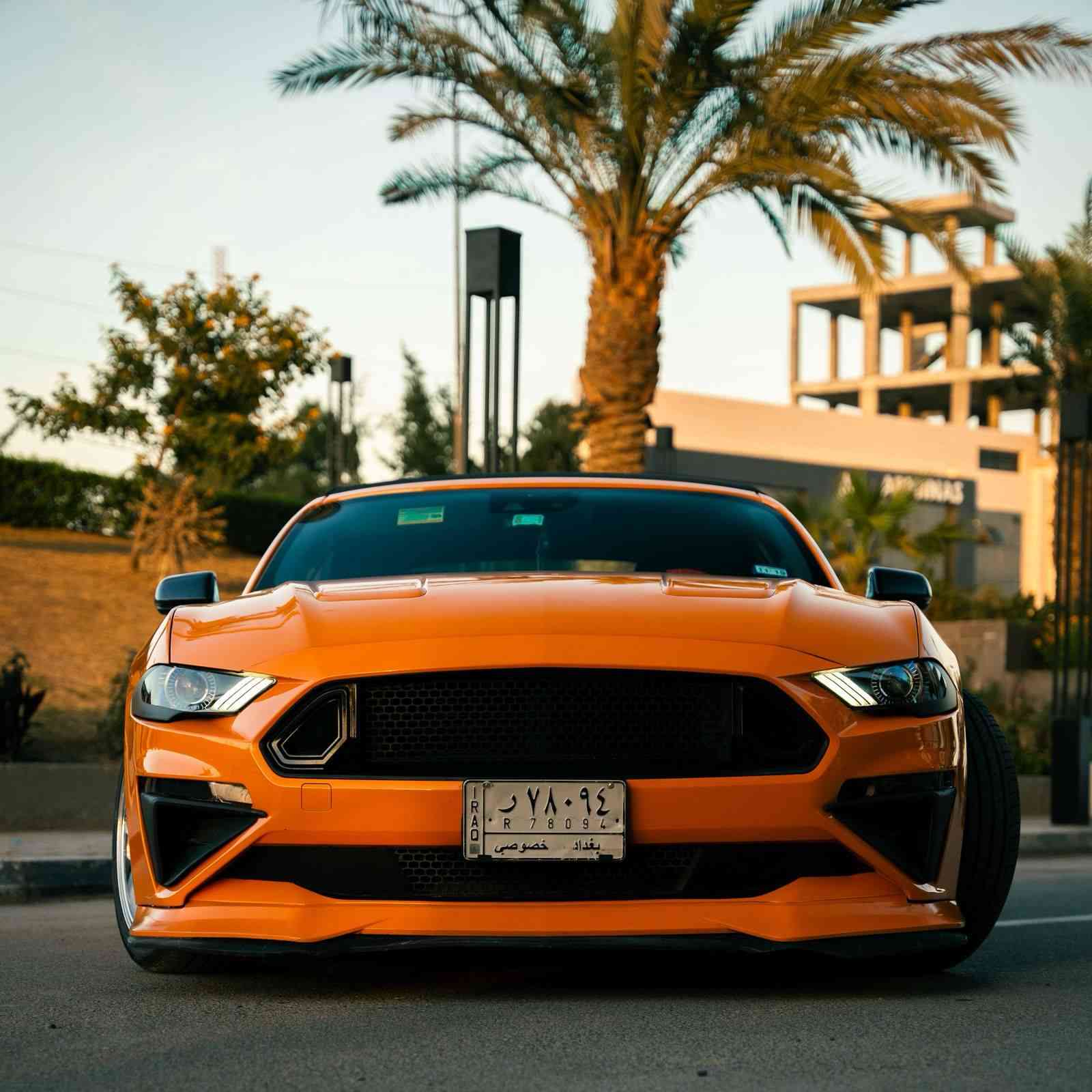 سلام عليكم شباب حلالي جيتي 2018 فول الفول اعلى شي بل مواصفات سياره جديده وتحدى العراق من شمال للجنوب هيج نظافه ماشيه 33 ميل فقط زيرو بعتبار   صبغ فقط صندوك جنه فقط فقط حادثها جدا بسيط 

مراوس فقط مع سكات باك فول الفول ✅🧡


**إذا كنت صاحب هذا الإعلان وتريد حذفه لأي سبب، رجاءا أرسل رسالة إلى الدعم الفني**