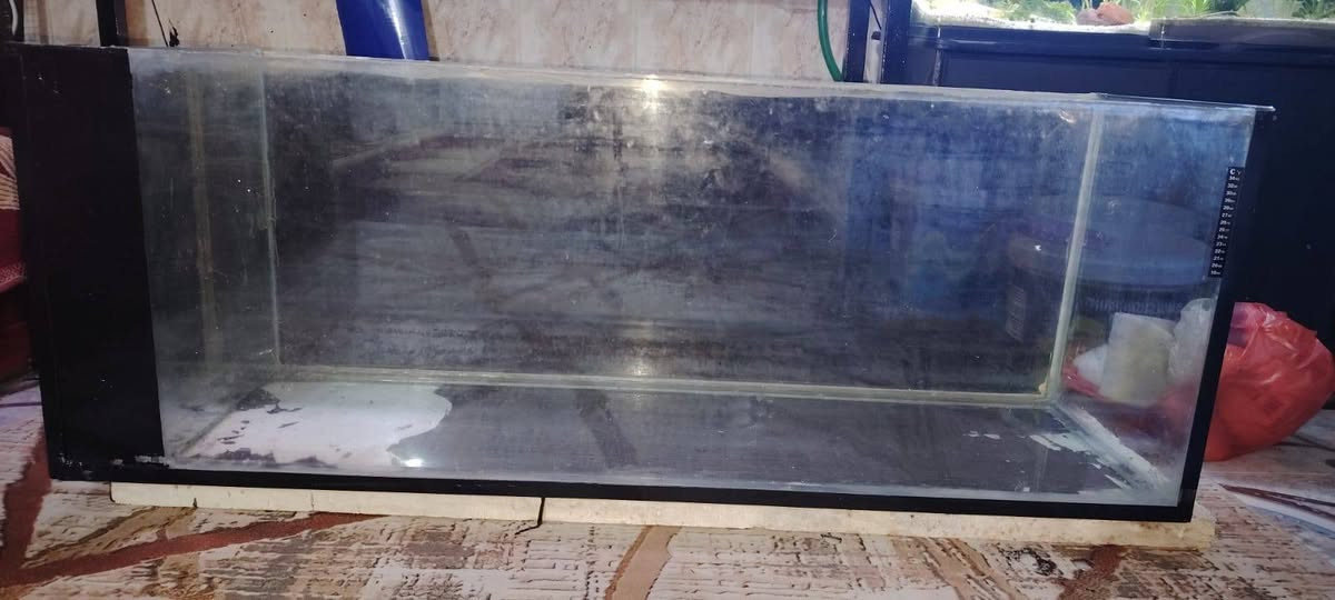 متوفر الآن أحواض سمك عدد (2) بحجم كبير وتصميم أنيق، كاملة مع كافة ملحقاتها ونظام الفلترة (بدون الرمل).
​📝 تفاصيل العرض والمواصفات:
​الحجم: طول الحوض 1 متر و 40 سم.
​العدد: حوضين (2).
​نظام الفلترة: نظام "سام" (Sump) متكامل لضمان بقاء المياه نقية وصحية.
​التدفئة: الهيترات (السخانات) مشمولة ضمن العرض.
​القاعدة: الأحواض تأتي مع الميز (القاعدة) الموجود تحتها في الصور.
​الحالة: نظيفة جداً وجاهزة للاستخدام المباشر.
​💰 السعر:
​250 ألف دينار (للطقم بالكامل مع كل الملحقات المذكورة).
​📍 الموقع: النجف - شارع المطار.
📞 للتواصل والاستفسار: يرجى الاتصال على الرقم:
***********
​ملاحظة: الصور المرفقة توضح نظافة الأحواض وترتيب نظام الفلترة والميز.
