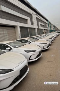 سيل 5 • ابيض • ٢٠٢٥