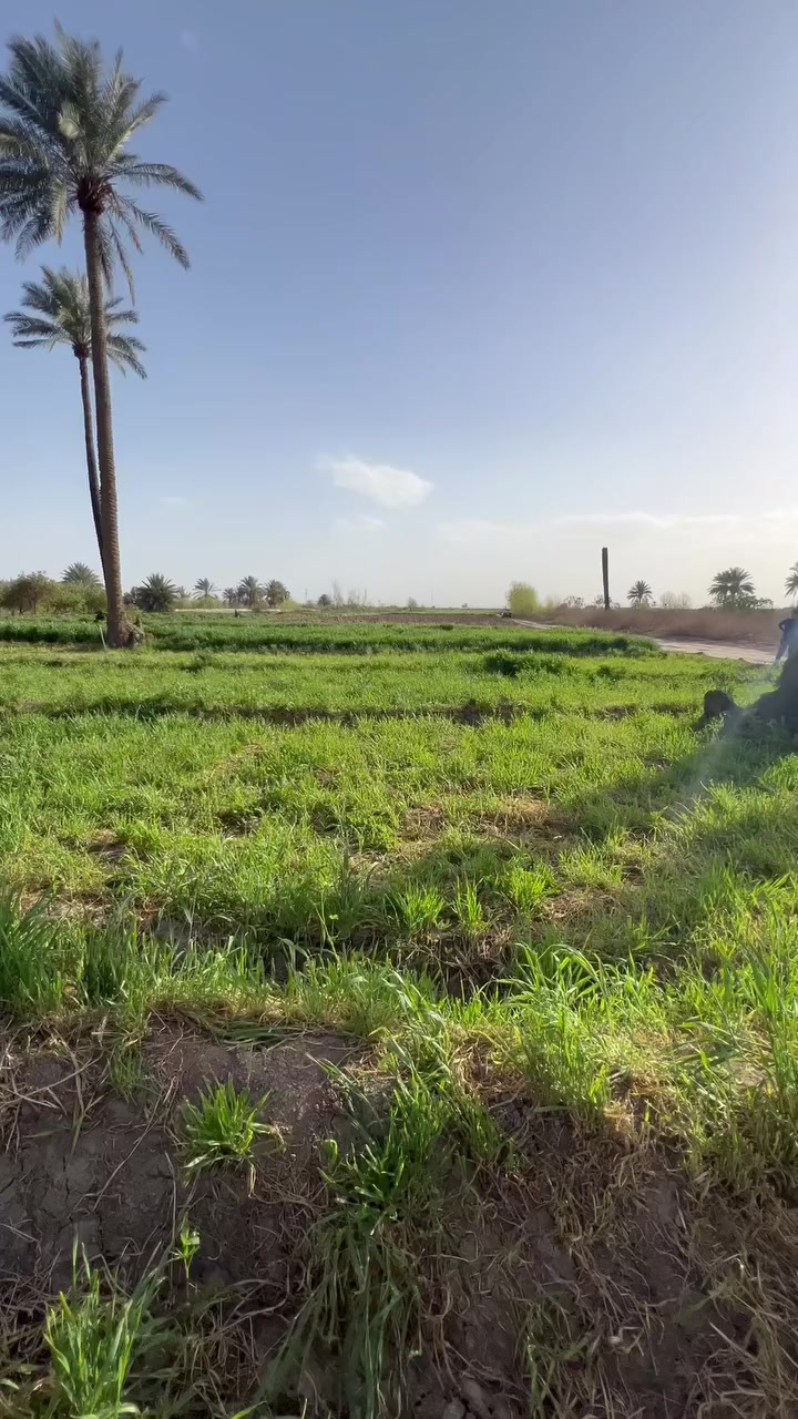 🔥 فرصة استثمارية مميزة 🔥

📍 الموقع: بغداد – منطقة عرب جبور (الدوانم)
📐 المساحة: 35دونم
📅 سنة التسجيل: 2025
💰 السعر: 100 مليون (قابل للتفاوض)

الأرض مناسبة للاستثمار الزراعي أو التقسيم مستقبلاً، موقع حيوي وقريب من الخدمات.

📞 للاستفسار والتفاصيل أكثر، تواصل على الخاص.*********** /‭0770 574 2336‬/
