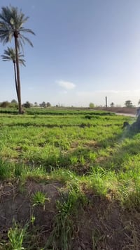 🔥 فرصة استثمارية مميزة 🔥  📍 الموقع: بغداد – منطقة عرب جبور (الدوانم) 📐...