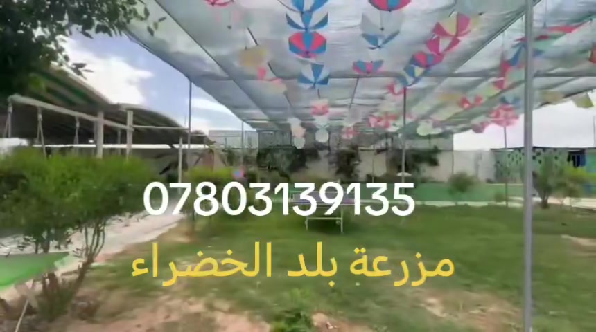 تعلن مزرعة بلد الخضراء عن تخفيضات لمده اسبوع كامل
علماً ان المزرعه موثقه في تطبيق اجرلي تحجز وانت مرتاح للحجز اتصل على الرقم *********** سعر الشفت الصباحي 125
سعر الشفت المسائي 150
