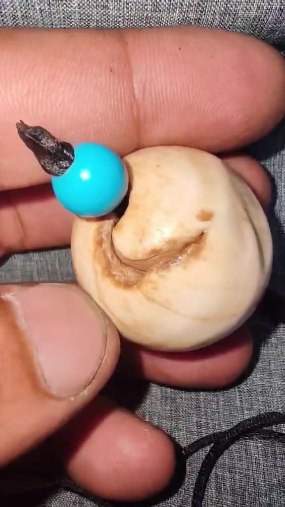 عطف للبيع


**إذا كنت صاحب هذا الإعلان وتريد حذفه لأي سبب، رجاءا أرسل رسالة إلى الدعم الفني**