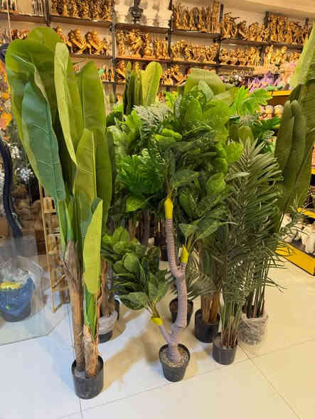 الأشجار الاصطناعية المقاربة للحقيقي 

لتجعل منزلك اجمل تابع كادو سنتر 

اهلا وسهلا بيكم زبائن كادو سنتر 

موجودين يوميا من الساعة ١٠ صباحا الى ١٢ ليلا

موجود توصيل جميع المحافظات ٥ الاف

العراق_ النجف المدينة المائية مقابل مستشفى الحياة 
***********
