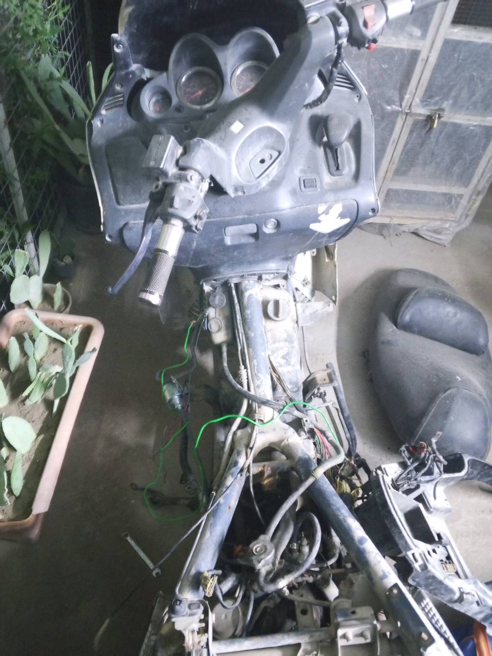 سلامو عليكم فورزه 06 للبيع طفت فجه وتركتها ابيع عل هل حطه كوم حديد
لتخابرني دكلي شبيها بايعلك كوم حديد
ارواق مابيها كفراتها موجوده باتري وكتف وملف شحن شادهن جدد اتفيدك الدراجه قيم بل يرضي الله وتعال وشكرن 