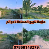 النجف الاشرف • ٣ دوانم • خدمات متكاملة