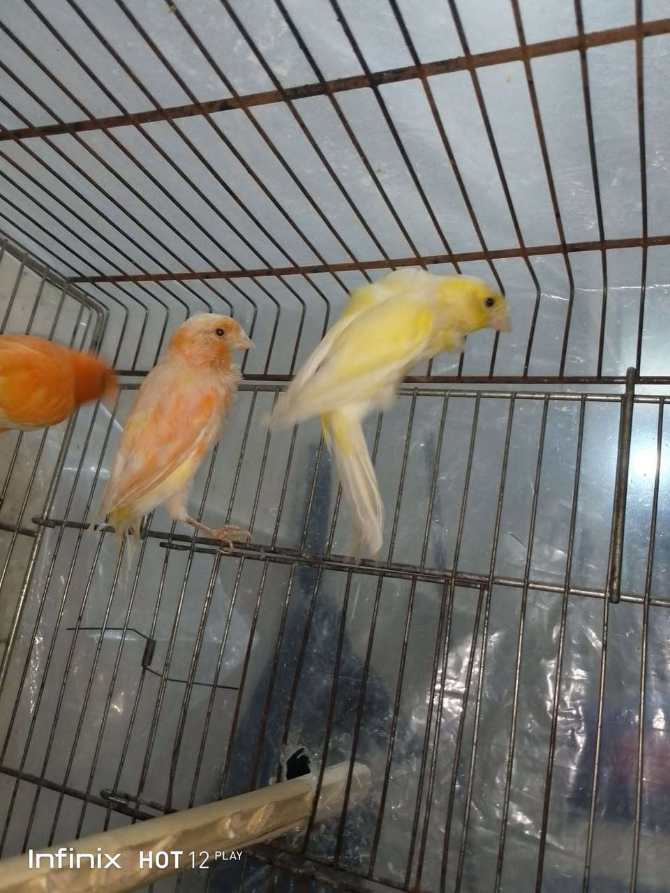 متاح سبع اصوات التك ٣٠العدد ٣مكان فلوجه قرب ماكولات احمد ياسين ***********
