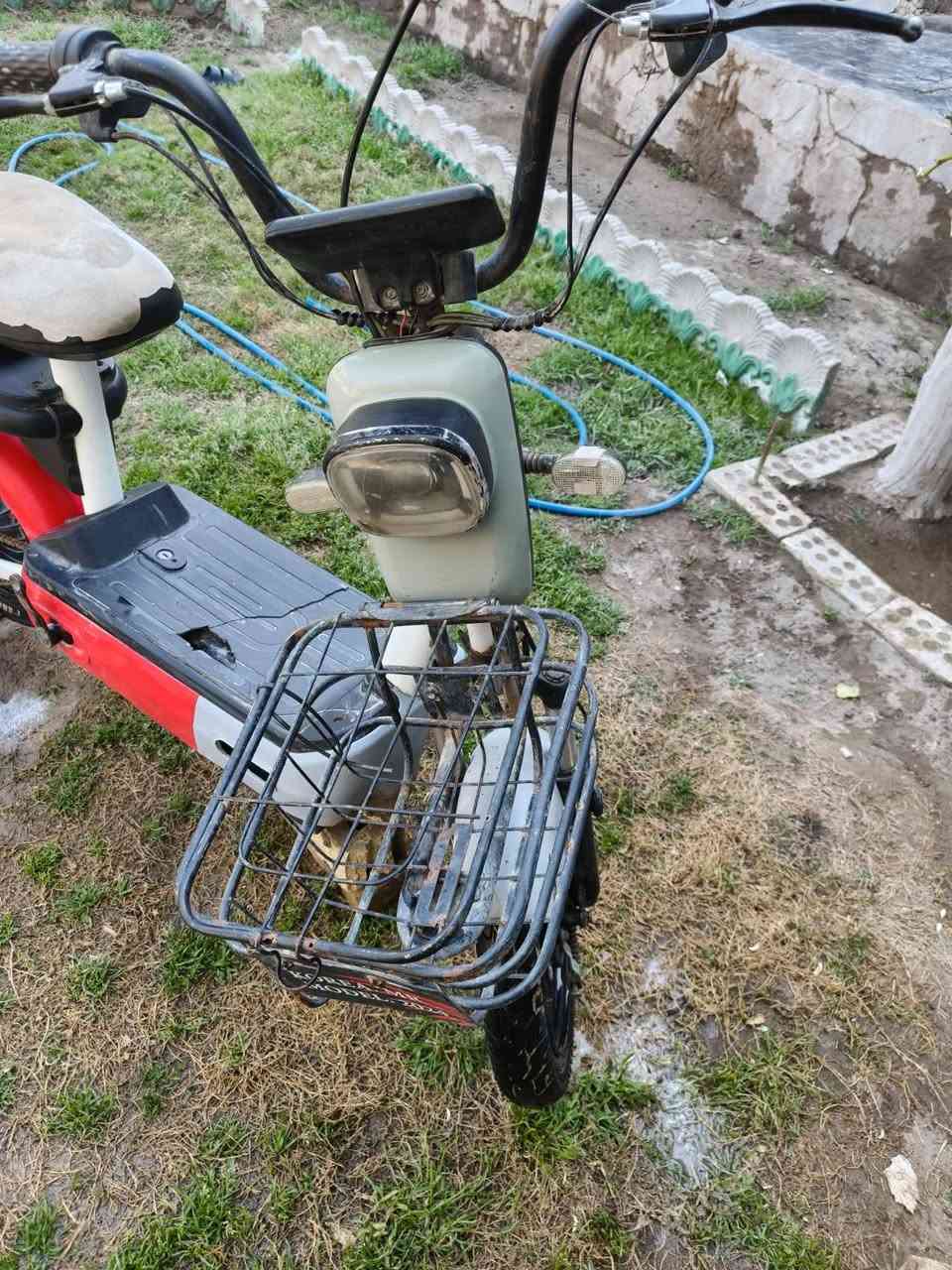 السلام عليكم دراجه شحن حجم 14 جديده كهربائياتهة كلهن شقاله الدراجه نضيفه مثل ماموضح بل صوره السعر 150بيها مجال حك الجيه العنوان بغداد ابو غريب حي غواص الرقم ***********
